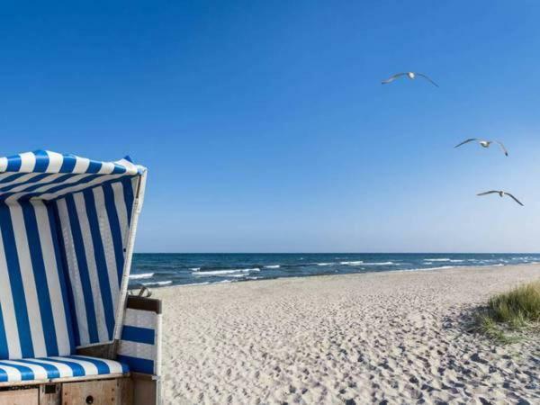 Fewo-Perner Möwenblick Kuhlungsborn Bagian luar foto